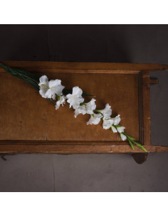 Buy Hill Interiors 18965 White Gladioli online in UK with fast delivery from FastDaddy UK, your furniture expert.