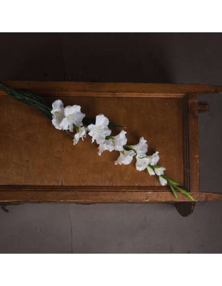 Buy Hill Interiors 18965 White Gladioli online in UK with fast delivery from FastDaddy UK, your furniture expert.