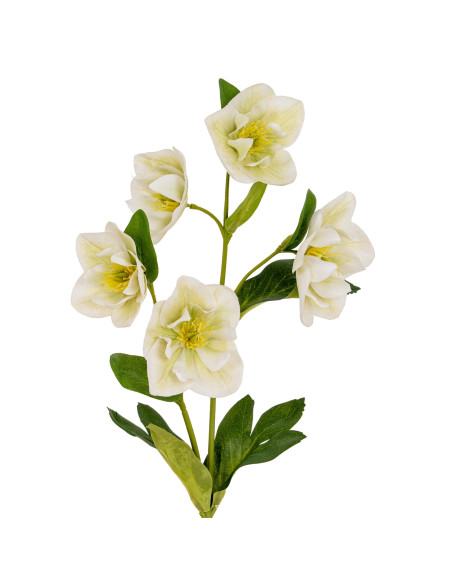 Hill Interiors White Hellebore Stem 24402 - Authentic Hill Interiors furniture directly from FastDaddy UK. Exclusive collection