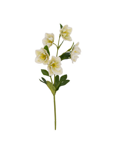 Buy Hill Interiors 24402 White Hellebore Stem online in UK with fast delivery from FastDaddy UK, your furniture expert.