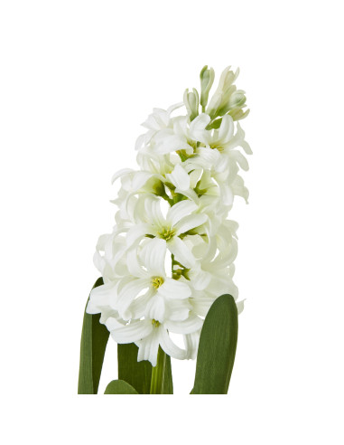 Buy Hill Interiors 23876 White Hyacinth Stem online in UK with fast delivery from FastDaddy UK, your furniture expert.