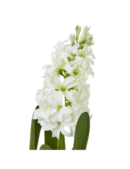 Buy Hill Interiors 23876 White Hyacinth Stem online in UK with fast delivery from FastDaddy UK, your furniture expert.