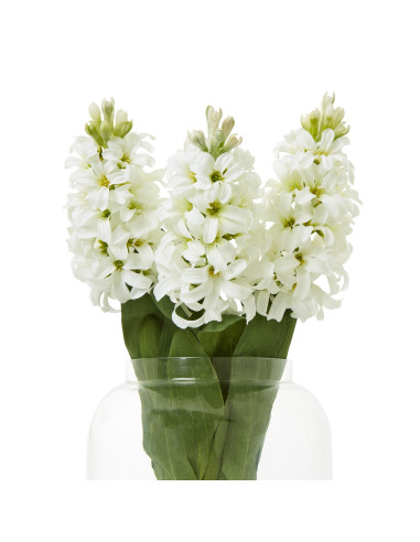 Affordable industrial style furniture Hill Interiors White Hyacinth Stem 23876 for modern home decor, free shipping options and