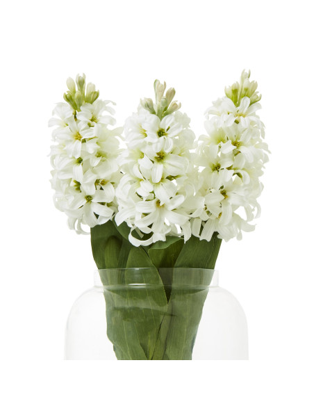 Affordable industrial style furniture Hill Interiors White Hyacinth Stem 23876 for modern home decor, free shipping options and