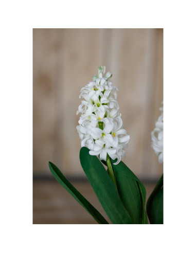 Full dimensions and specifications of Hill Interiors White Hyacinth Stem 23876: Height 44.00cm, Width 0.00cm, perfect for your