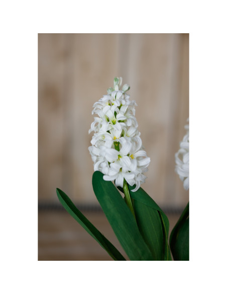 Full dimensions and specifications of Hill Interiors White Hyacinth Stem 23876: Height 44.00cm, Width 0.00cm, perfect for your