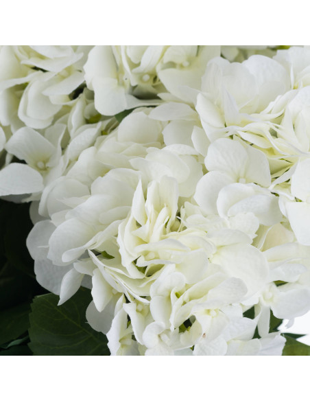 Full dimensions and specifications of Hill Interiors White Hydrangea Bouquet 19064: Height 54.00cm, Width 34.00cm, perfect for