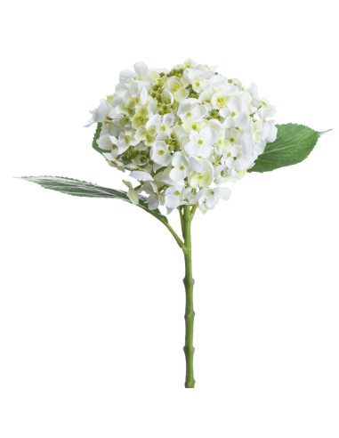 Buy Hill Interiors 20136 White Lace Cap Hydrangea online in UK with fast delivery from FastDaddy UK, your furniture expert.