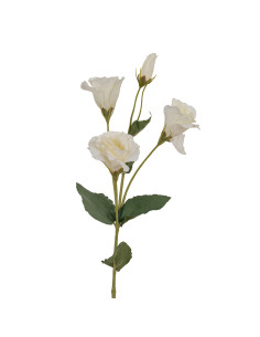 Hill Interiors White Lisianthus Spray 24545 - Authentic Hill Interiors furniture directly from FastDaddy UK. Exclusive collecti