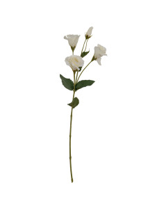 Hill Interiors White Lisianthus Spray 24545 - Authentic Hill Interiors furniture directly from FastDaddy UK. Exclusive collecti 2