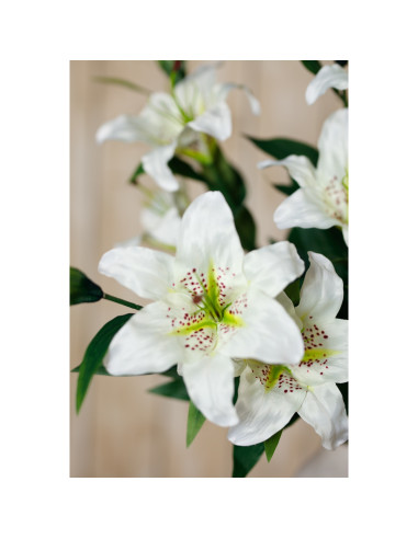 Full dimensions and specifications of Hill Interiors White Madonna Lily Spray 23846: Height 87.00cm, Width 0.00cm, perfect for