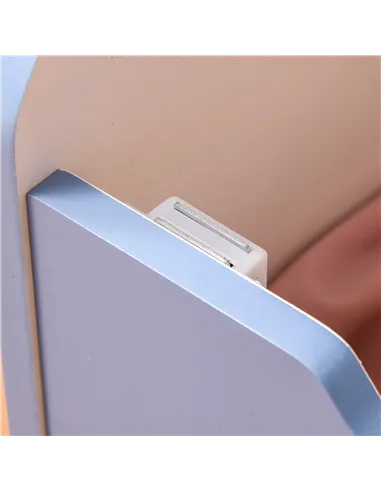 HOMCOM Kids Wooden Toy Box Children Storage Chest Bench Organiser Safety Hinge Bedroom Playroom Furniture Blue