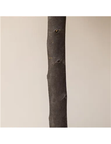 HOMCOM Set of 2 Artificial Plants Boxwood Ball Trees in Pot Fake Plants for Home Indoor Outdoor Decor, 20x20x60cm, Green