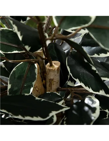 HOMCOM Set of Two Artificial Ficus Trees