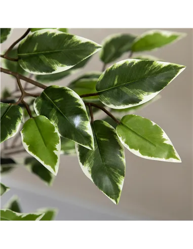 HOMCOM Set of Two Artificial Ficus Trees