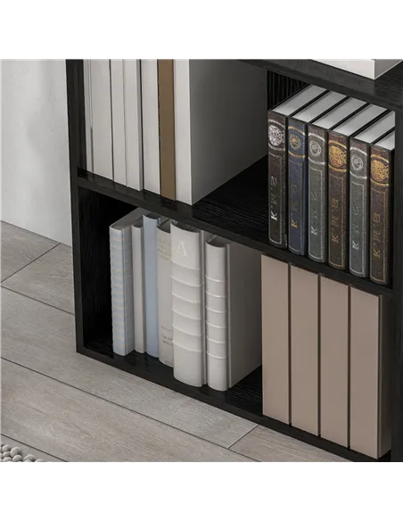 HOMCOM 2 Tier Bookshelf, Low Bookcase with Adjustable Shelf, 2 Compartments for Home Office, Living Room, Study, Black