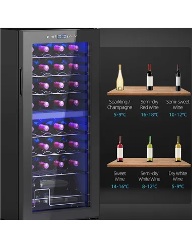 HOMCOM 32 Bottle Dual Zone 5-18℃ Wine Fridge - Black