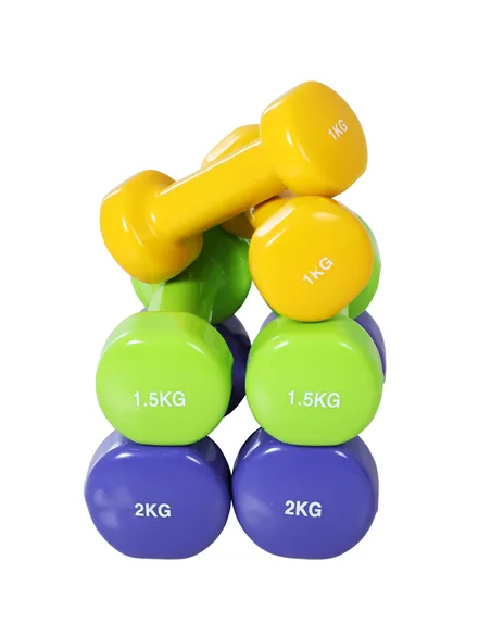 HOMCOM 10KG Dumbbells Set with Carry Case, Hand Weights for Women and Men Home Gym Weight Lifting Training, Red, Yellow, Green, 
