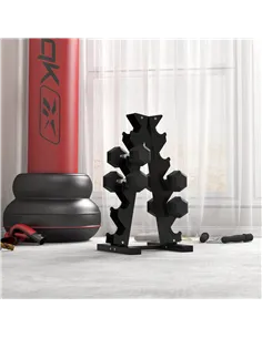 HOMCOM 2x4kg Rubber Dumbbell Sports Hex Weights Sets Home Gym Fitness Hexagonal Dumbbells Kit Weight Lifting Exercise 2