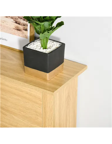 HOMCOM Narrow Shoe Cabinet, Space Saving Shoe Storage Cabinet with 2 Flip Drawers and Adjustable Shelves for 6-12 Pairs of Shoes