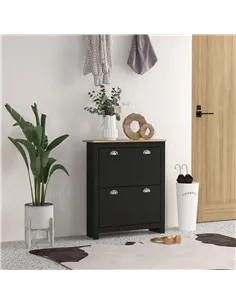 HOMCOM 2 Drawer Shoe Cabinet Modern Narrow Shoe Cupboard Hallway Wooden Storage Organiser with Flip Doors Adjustable Shelf for 6 2