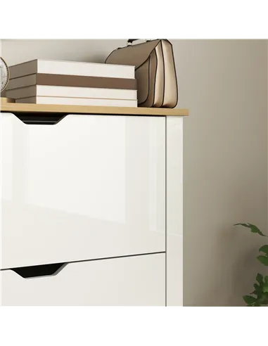 HOMCOM Slim Shoe Cabinet, Narrow Shoe Cupboard with 2 Flip Drawers, Adjustable Shelves for 12 Pairs of Shoes, High Gloss White