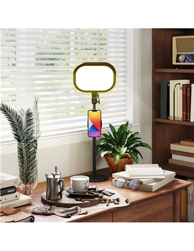 HOMCOM Selfie Light for Video Conference Lighting, Dimmable Desk Lamp with Stand Phone Holder, 5 Colour Modes & 10 Brightness Le