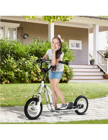 HOMCOM Dual Brakes 12" Metal frame Kick Scooter adjustable black