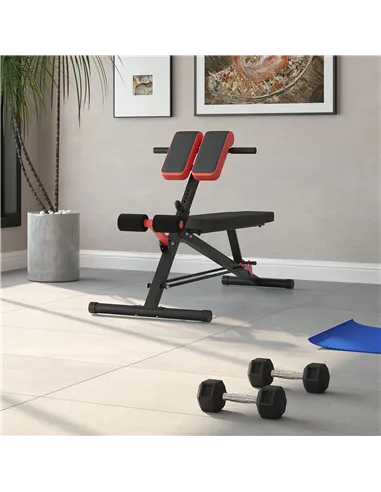 HOMCOM Multifunction Weight Bench with 2 Dumbbells, 7-Level Adjustable Hyper Extension Sit-up Bench