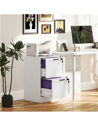 HOMCOM 2-Drawer Filing Cabinet with Lock - White