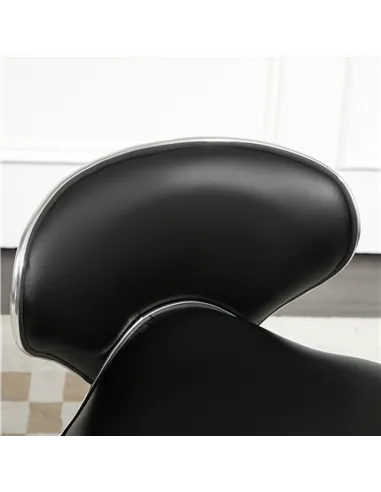 HOMCOM Adjustable Rolling Swivel Beauty Salon Chair, Stool for Spa, Black