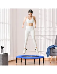 HOMCOM Φ91 Mini Fitness Trampoline Home Gym Yoga Exercise Rebounder Indoor Outdoor Jumper with Safety Pad, Support Up to 100 KG, 2