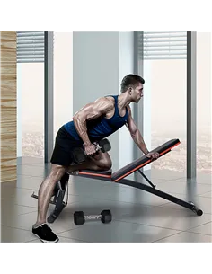 HOMCOM Adjustable Reclined Dumbbell Bench Weight Lifting Set Folding Sit Up Ab Bench Home Training Gym Multiuse Workout Exercise 2
