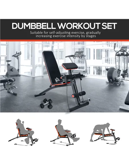 HOMCOM Adjustable Reclined Dumbbell Bench Weight Lifting Set Folding Sit Up Ab Bench Home Training Gym Multiuse Workout Exercise