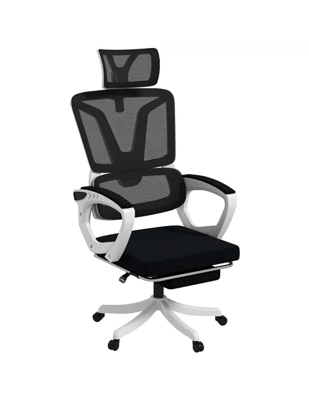 Vinsetto Ergonomic Office Chair, High Back Desk Chair, Reclining Mesh Computer Chair with Adjustable Headrest, Lumbar Support, F