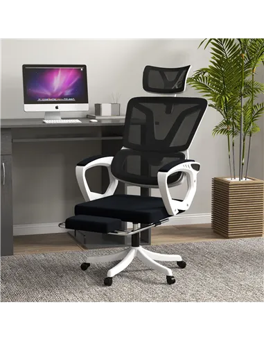 Vinsetto Ergonomic Office Chair, High Back Desk Chair, Reclining Mesh Computer Chair with Adjustable Headrest, Lumbar Support, F