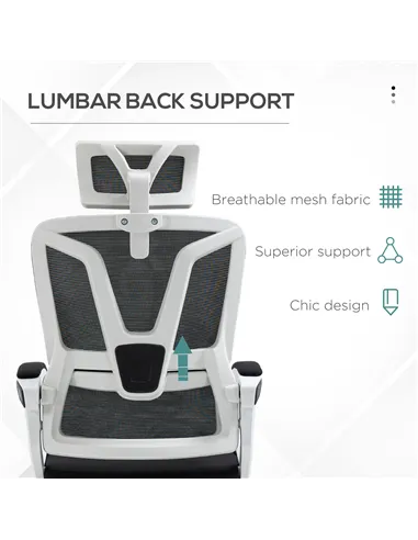 Vinsetto Ergonomic Office Chair, High Back Desk Chair, Reclining Mesh Computer Chair with Adjustable Headrest, Lumbar Support, F