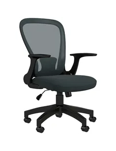 Vinsetto Ergonomic Office Chair, Mesh Desk Chair with Flip-up Armrest, Lumbar Back Support, Swivel Wheels, Grey