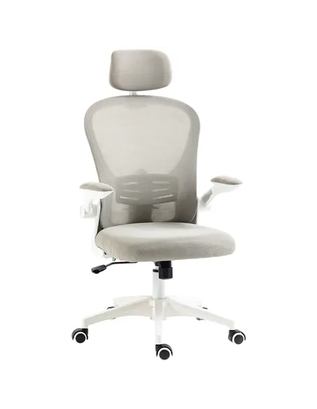 Vinsetto Multi-Adjustable Office Chair, with Lumbar Support, Headrest and Mesh Back - Grey