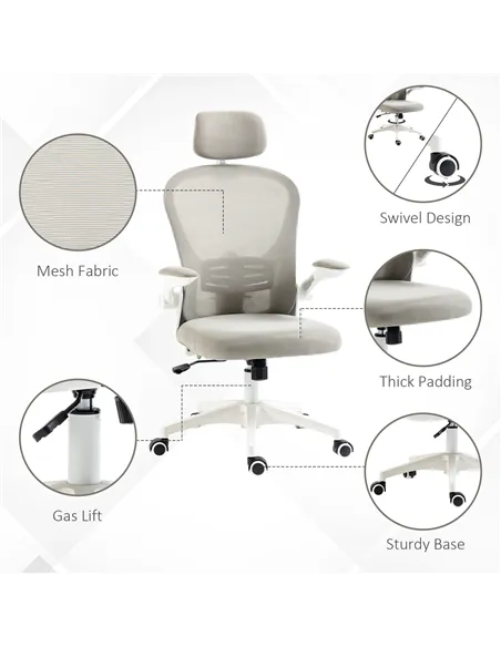 Vinsetto Multi-Adjustable Office Chair, with Lumbar Support, Headrest and Mesh Back - Grey
