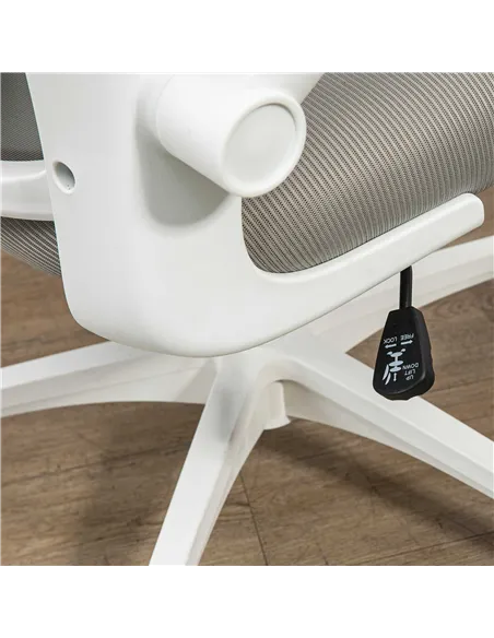 Vinsetto Multi-Adjustable Office Chair, with Lumbar Support, Headrest and Mesh Back - Grey