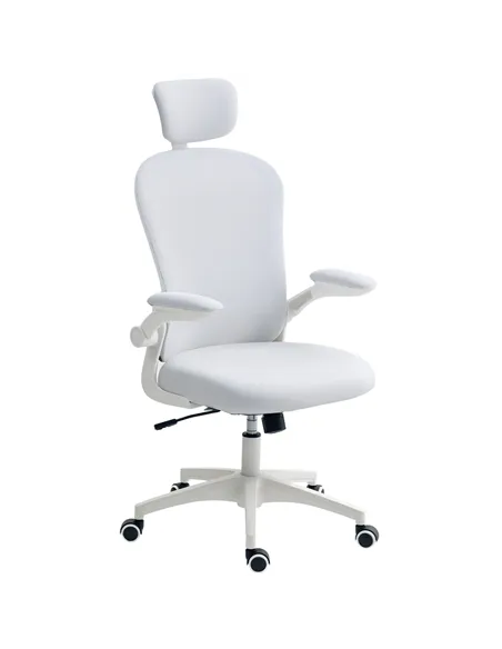 Vinsetto Multi-Adjustable Office Chair, with Lumbar Support, Headrest and Mesh Back - White