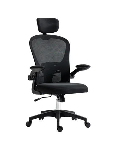 Vinsetto Multi-Adjustable Office Chair, with Lumbar Support, Headrest and Mesh Back - Black