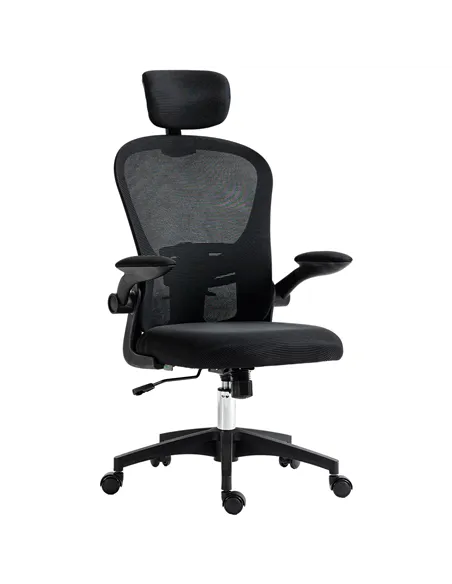 Vinsetto Multi-Adjustable Office Chair, with Lumbar Support, Headrest and Mesh Back - Black