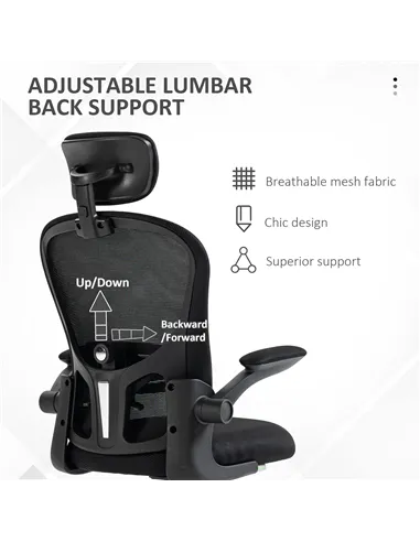 Vinsetto Multi-Adjustable Office Chair, with Lumbar Support, Headrest and Mesh Back - Black