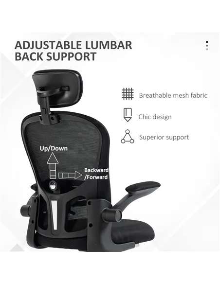 Vinsetto Multi-Adjustable Office Chair, with Lumbar Support, Headrest and Mesh Back - Black