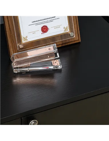 Vinsetto Two-Tier Locking Office Storage Cabinet - Black