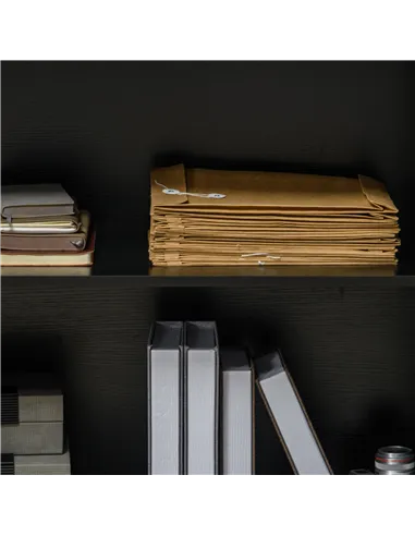 Vinsetto Two-Tier Locking Office Storage Cabinet - Black