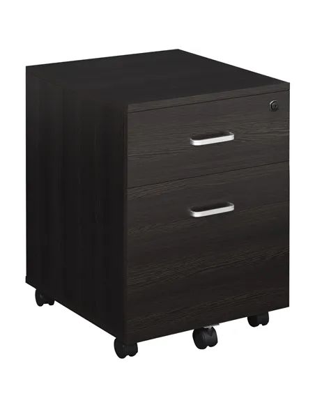 Vinsetto 2-Drawer Locking Office Filing Cabinet w/ 5 Wheels Rolling Storage Hanging A4 Cupboard Home Organisation Black Wood Gra