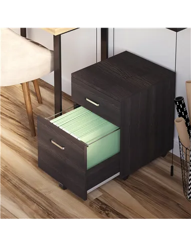 Vinsetto 2-Drawer Locking Office Filing Cabinet w/ 5 Wheels Rolling Storage Hanging A4 Cupboard Home Organisation Black Wood Gra